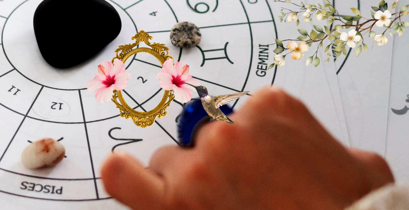 Casas Astrológicas - Casa 2