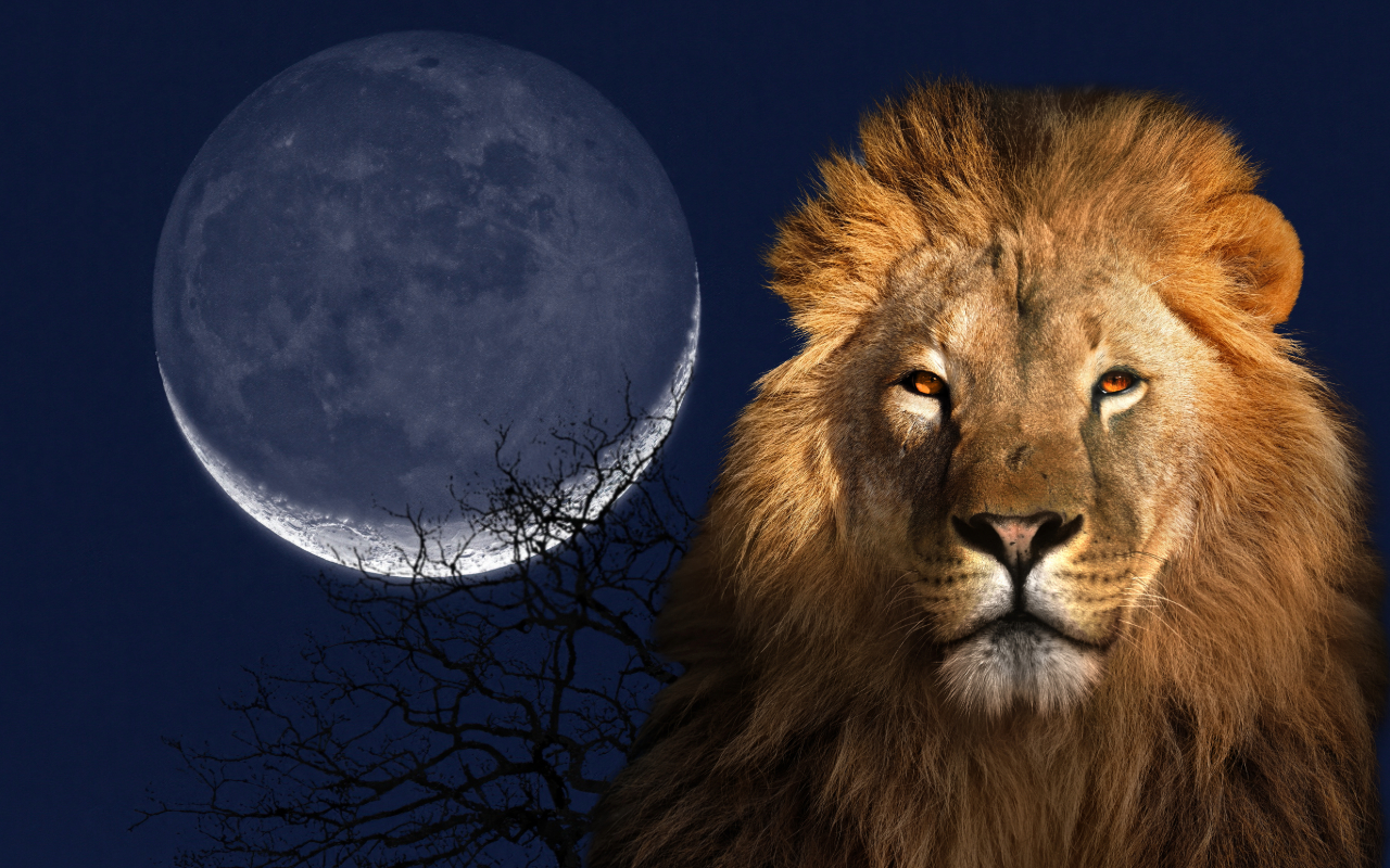 Luna nueva en Leo. De fondo la luna nueva, debajo, la silueta de un árbol y a la derecha, un león